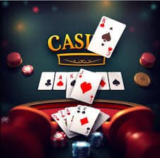 bet559
