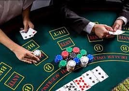 bet559